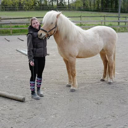 Hest ved Forest Trail og ridebane